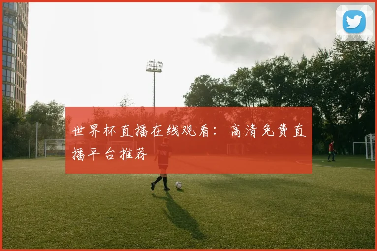 世界杯直播在线观看:高清免费直播平台推荐