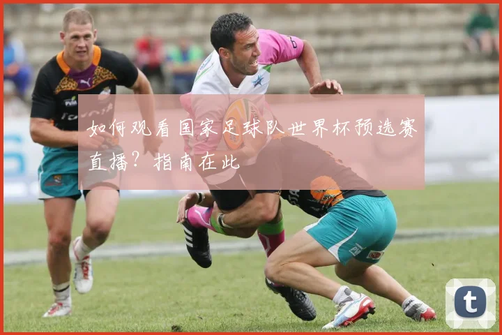 如何观看国家足球队世界杯预选赛直播？指南在此