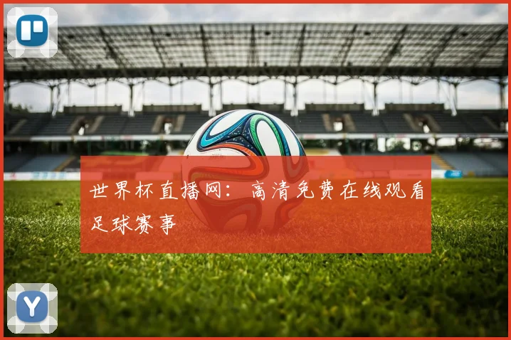 世界杯直播网：高清免费在线观看足球赛事